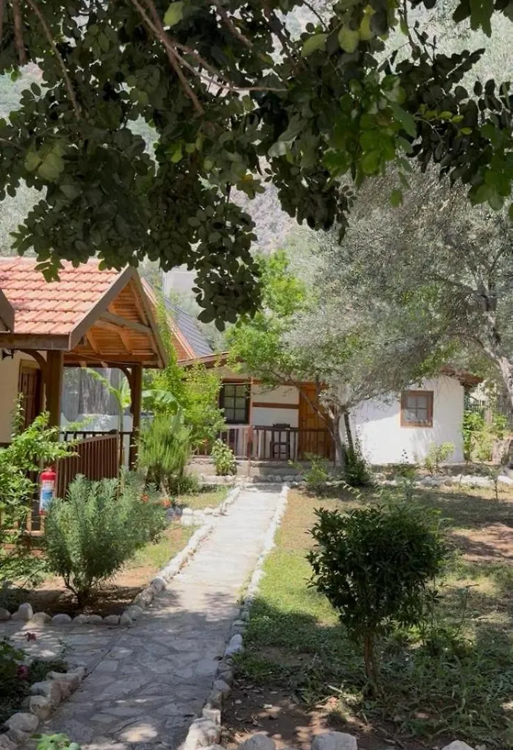 Maison d'hôtes Kidrak Otel Montenegro-1 Faralya